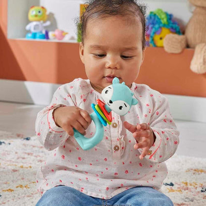 Fisher-Price Animal Rings. Assorted Models