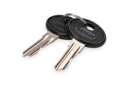 DIGITUS Replacement Key for Varioflex Network Cabinets, Unique Wall Enclosures & Server Cabinets and IP55 Wall Enclosures - Two Pieces - Black/Silver