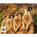 SPEEDLINK TERRA WWF Recycled Mouse Mat Made of Durable Material Meerkat