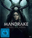 Mandrake-Wurzel des Bösen