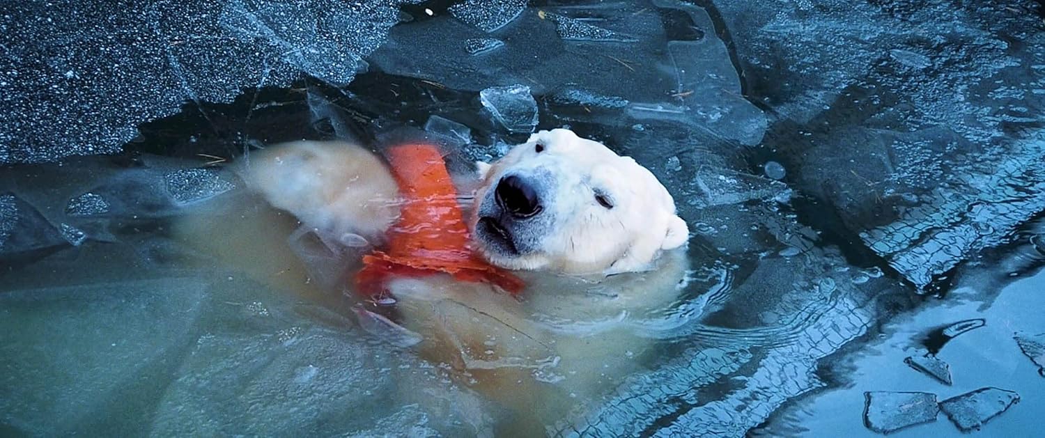 Everything will change