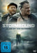 Stormbound-Allein mit dem Wahnsinn