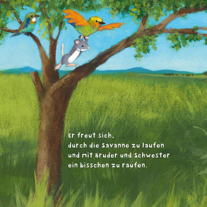 Baby Pixi (unkaputtbar) 104: Der kleine Löwe: Ein Baby-Buch mit farbigem Register ab 1 Jahr (104