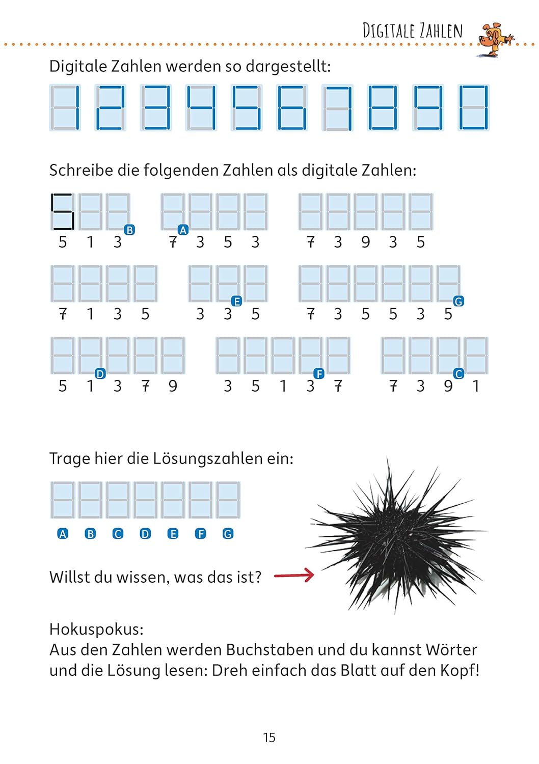 Rätselblock ab 8 Jahre - Band 1: Bunter Rätselspaß für Kinder - Labyrinth, Bilderrätsel, knobeln und logisches Denken fördern (Rätselbücher, Band 633)
