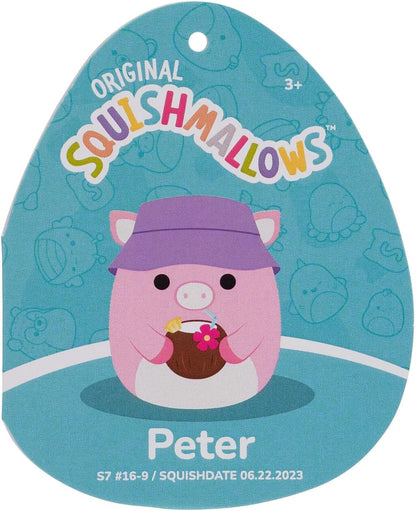 Squishmallows - 19 Cm P18 Plush - Peter The Pink Pig