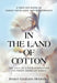 In the Land of Cotton