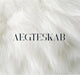 AEGTESKAB