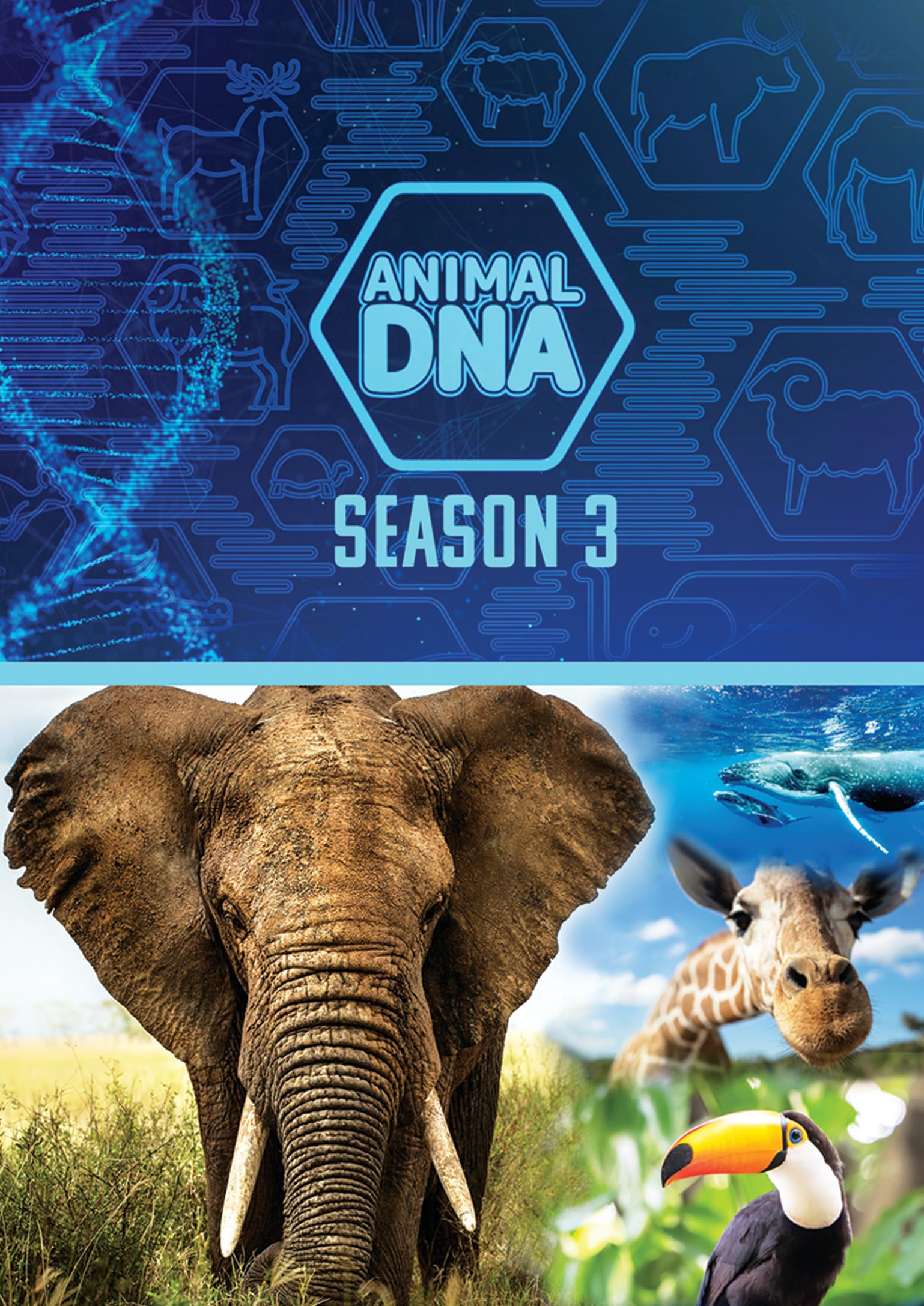 Animal Dna: Season Three
