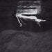 Undercurrent