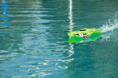 Carson 108025 Boot 500108025 – Race Shark FD 2.4G 100% Children from 8 Years, RC Boat RTR, Green