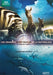 Grandes Espectáculos De La Naturaleza (Nature´S Great Events) (2009) (Import