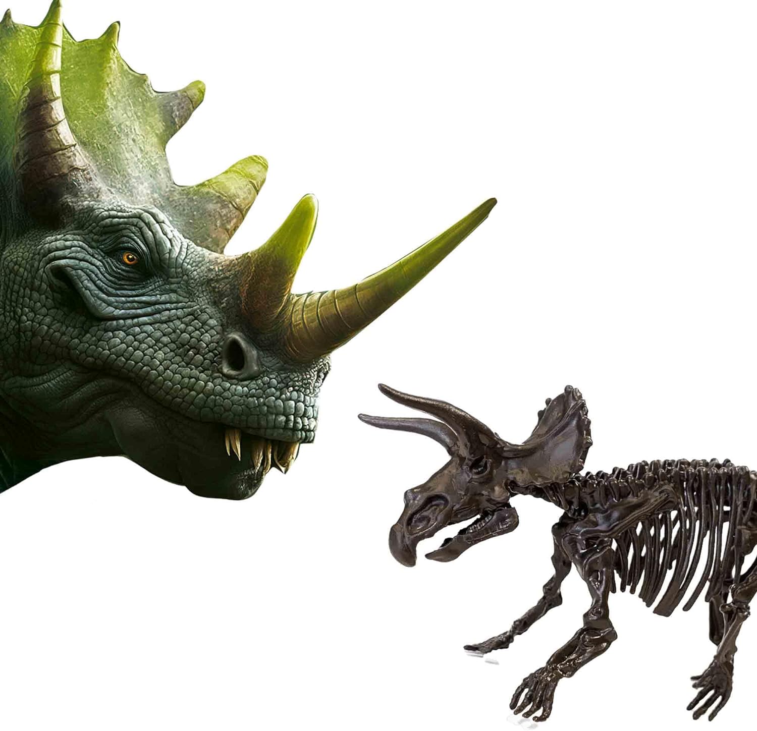SES Creative 25093 2 in 1 Dinosaur and Skeleton Dig-Triceratops, One Size