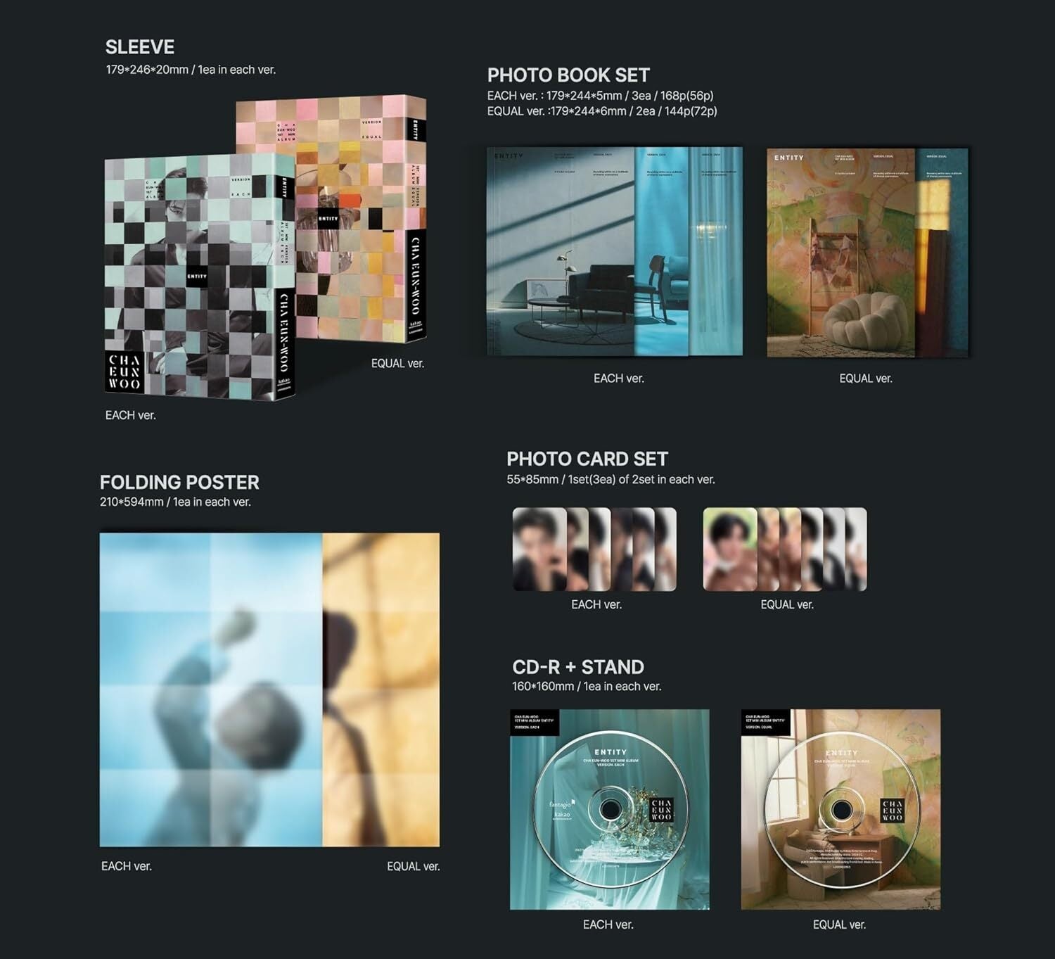 ENTITY (Each Ver.)