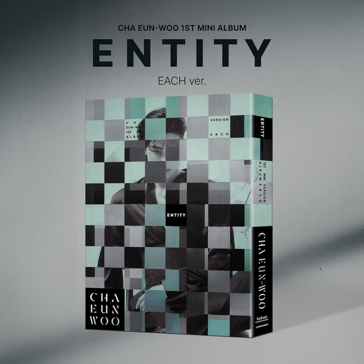 ENTITY (Each Ver.)