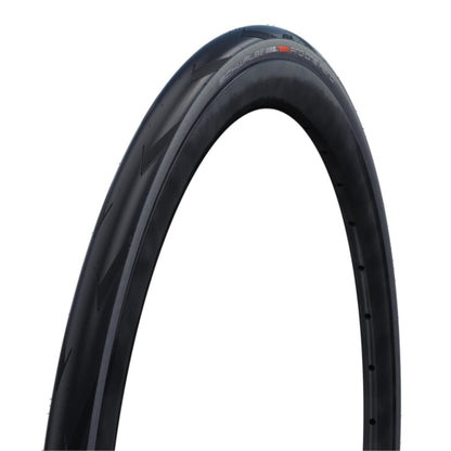 Schwalbe , 11654462