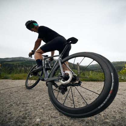 Schwalbe , 11654462