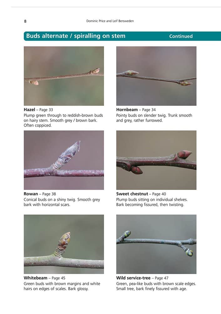 Winter Trees: a Photographic Guide to Common Trees and Shrubs