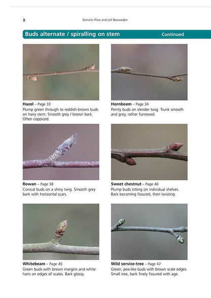 Winter Trees: a Photographic Guide to Common Trees and Shrubs