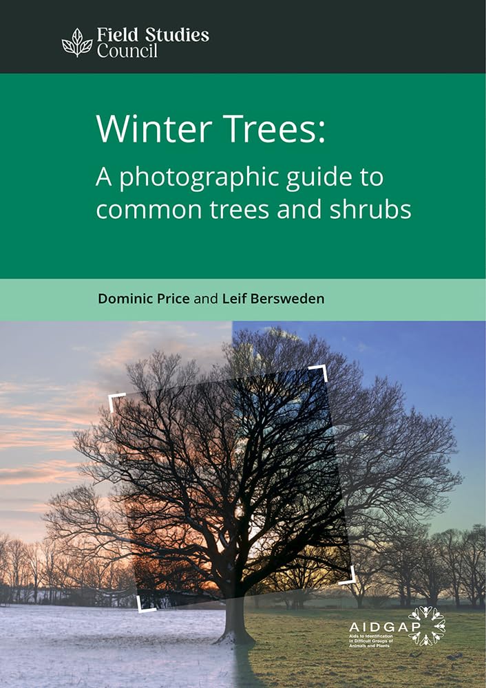 Winter Trees: a Photographic Guide to Common Trees and Shrubs