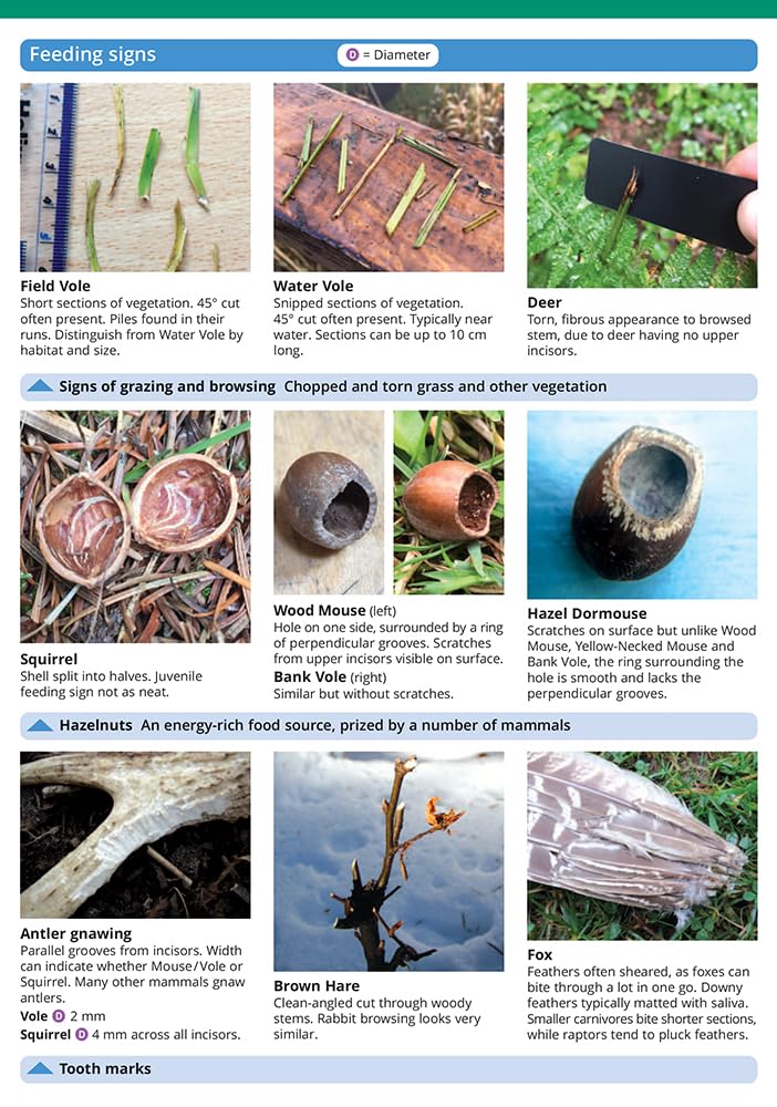 Mammal tracks and signs