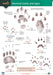 Mammal tracks and signs