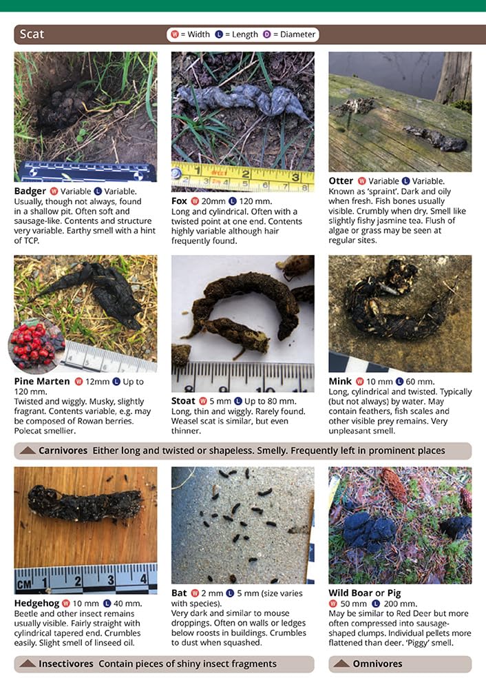 Mammal tracks and signs