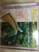 Romantic Panpipe vol.1
