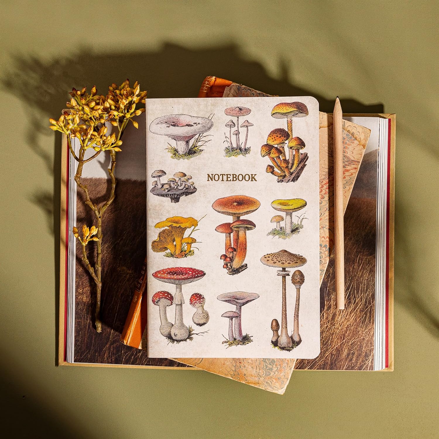Sass & Belle Vintage Mushrooms A5 Notebook