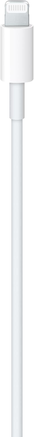 Usb-C To Lightning Cable (1 M