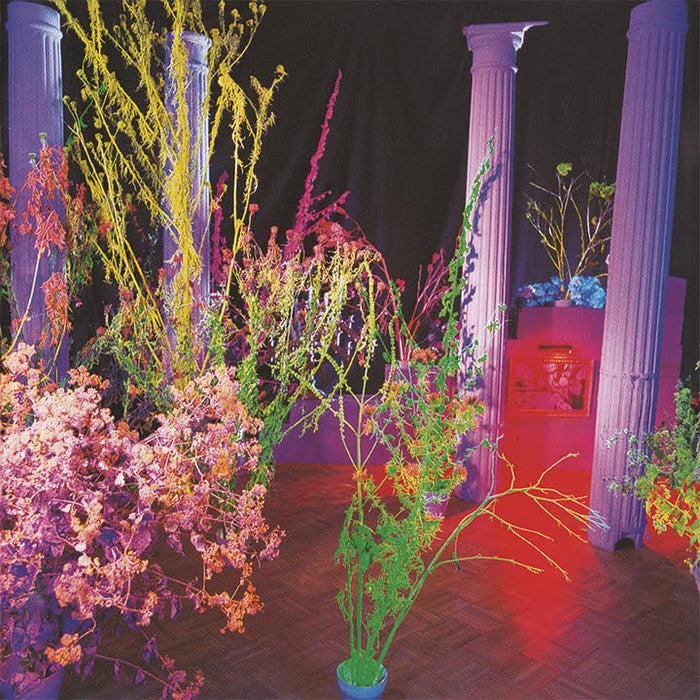 Warehouse Songs and Stories