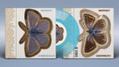 Common Blue/Underneath