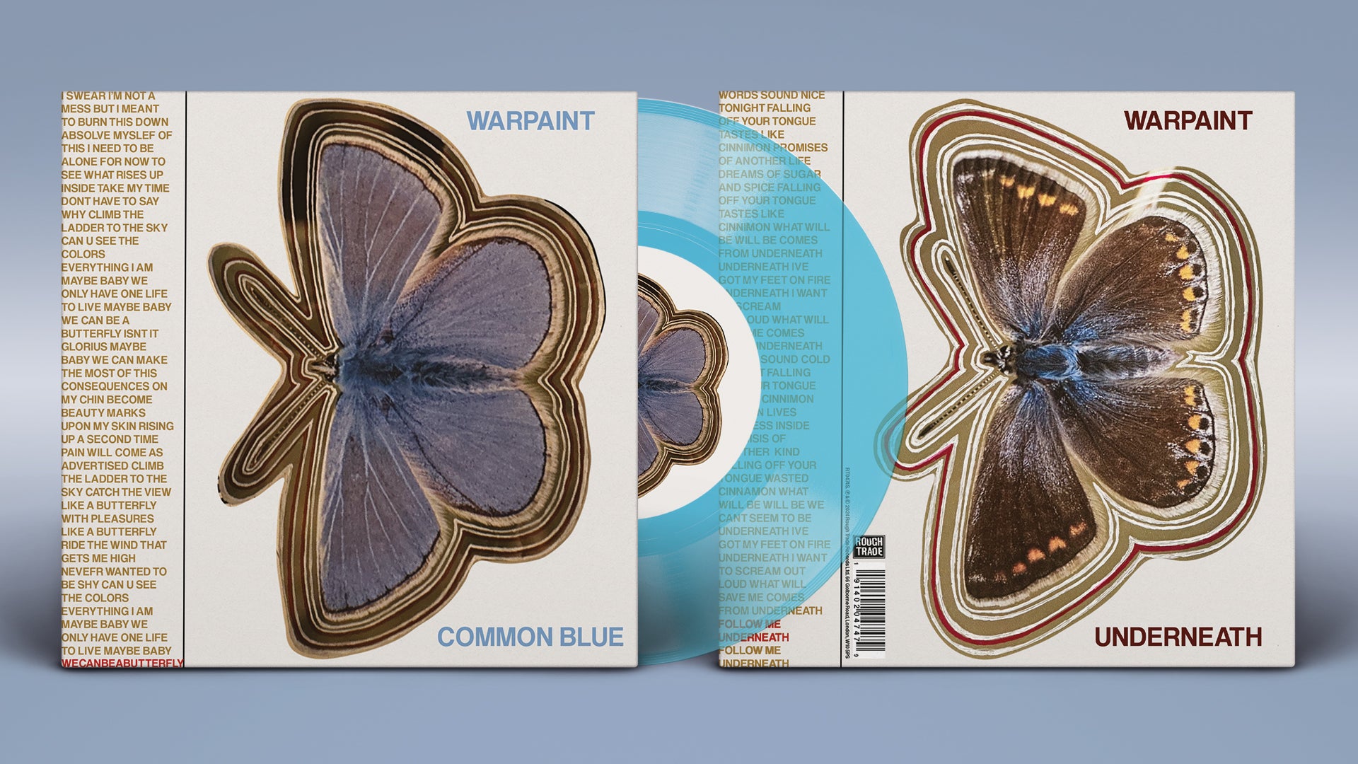 Common Blue/Underneath