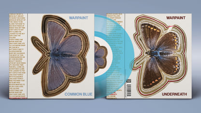 Common Blue/Underneath