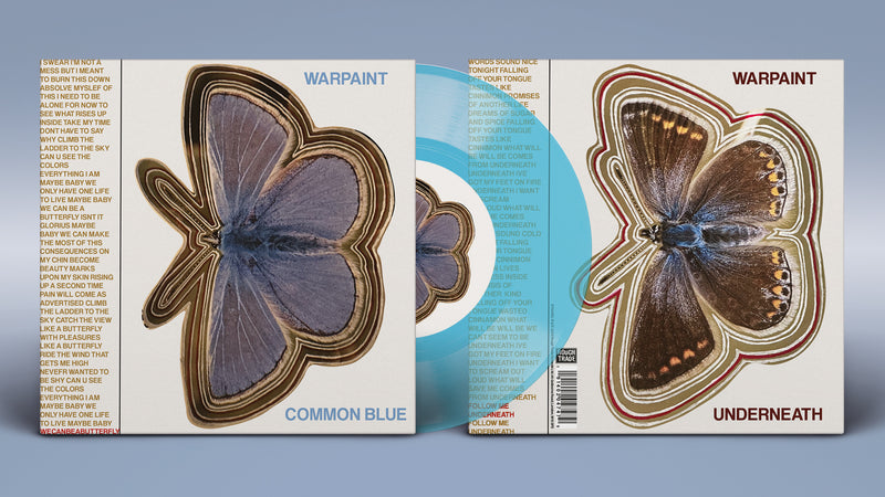Common Blue/Underneath