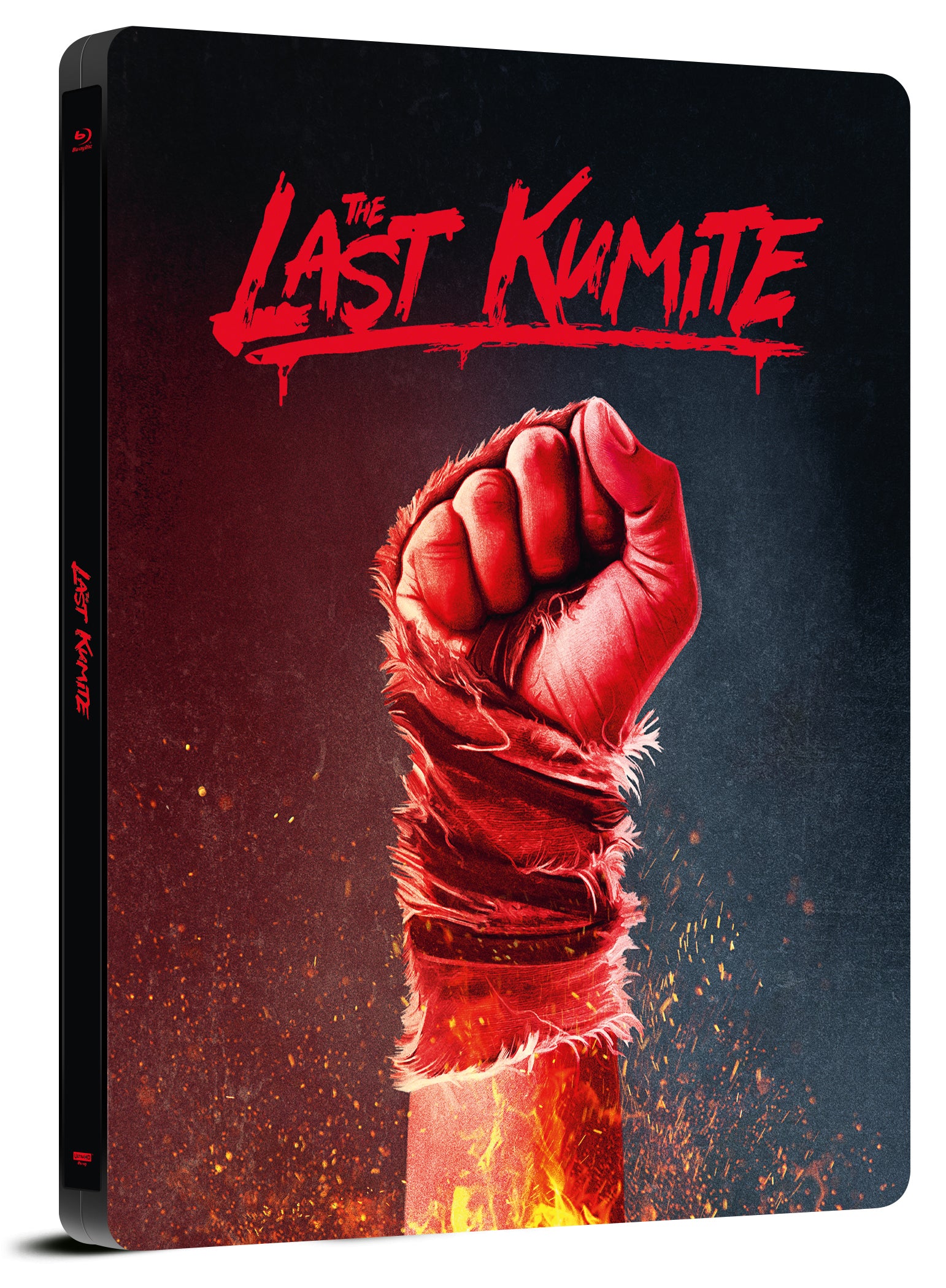 The Last Kumite