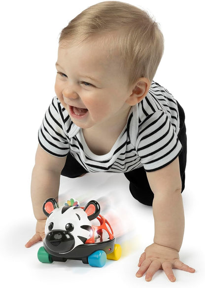 Baby Einstein Coche de Juguete y Pelota sonajero Curious Car de Zen, Luces, a Partir de Tres Meses, la Cebra Zen