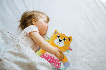 Clementoni Baby Infant Toys - Plush Katy the Kitty - New Born Gift, Animal Soft Toy, Early Development & Activity, Sensory Learning Toys, Cuddly Cat, Toddler 0 Months, Machine Washable, 17908