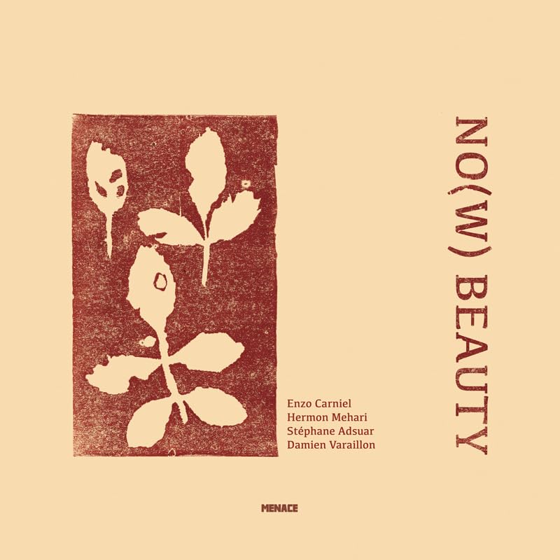 E. Carniel & H. Mehari & S. Adsuar - No(w) Beauty