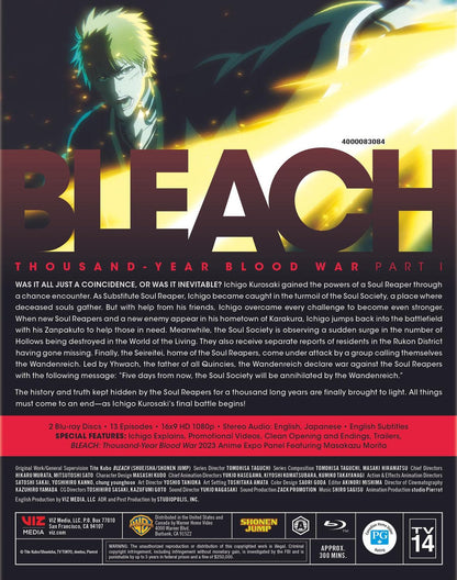 Bleach: Thousand-Year Blood War
