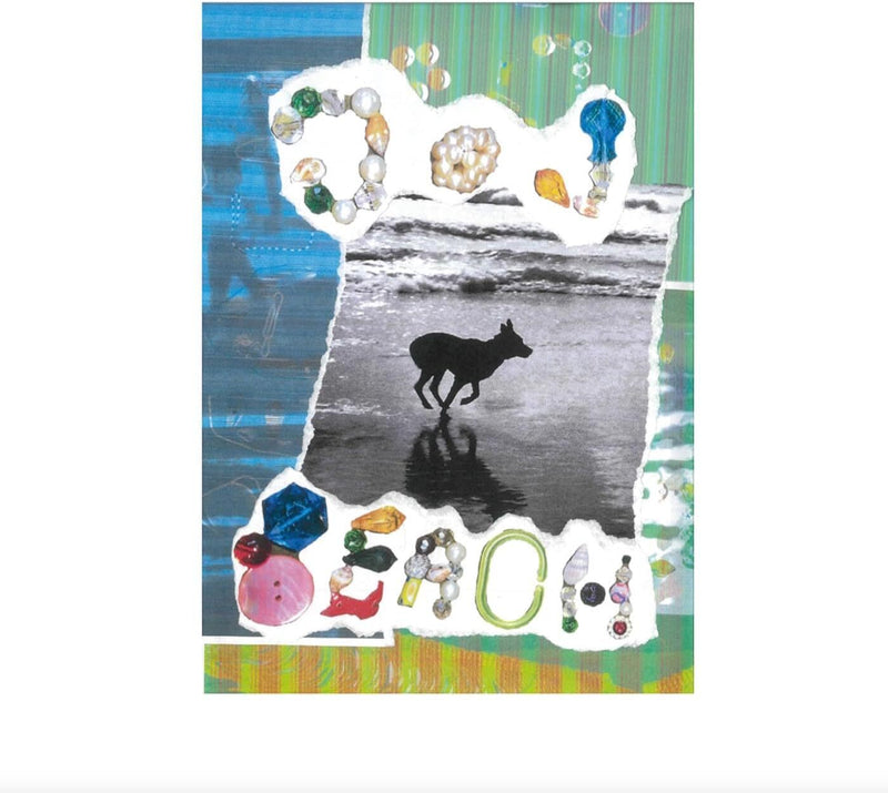 Dog Beach