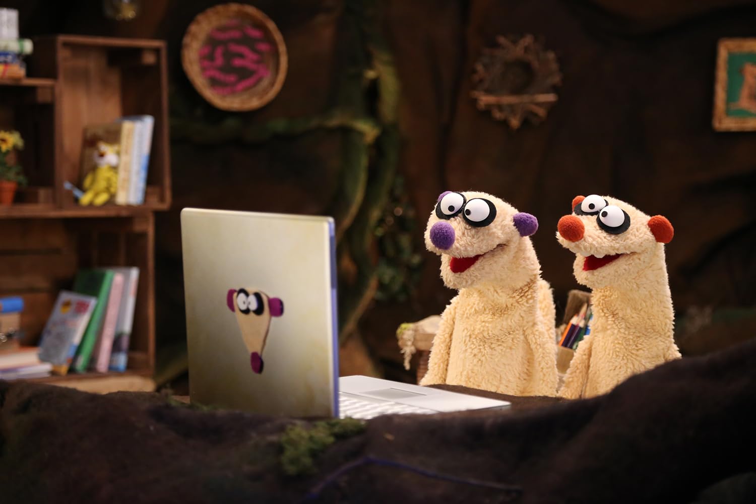 Ein Fall für die Erdmännchen Staffel 7 - inkl. 3 Folgen "Jan & Henry - Die Fragenforscher"