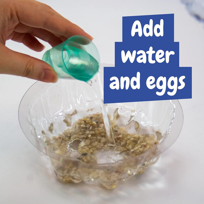 Science4you Artemias Aquatic Sea Creatures (Triops family) - Grow Your Own Water Dragons Kit - Includes Aqua Eggs - Science Kits for Kids Age 6 7 8 9 10+ Educational Toy Boys & Girls