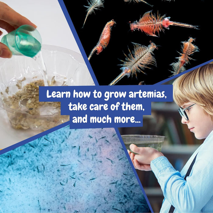 Science4you Artemias Aquatic Sea Creatures (Triops family) - Grow Your Own Water Dragons Kit - Includes Aqua Eggs - Science Kits for Kids Age 6 7 8 9 10+ Educational Toy Boys & Girls