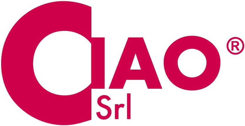 Procos - FSC Disney Frozen II Wind Spirit Paper Plates (Ø20cm), 8 Pieces 16-21cm, Blue, Purple, Pink, 95042