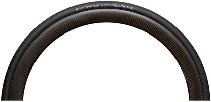 Hutchinson Blackbird TLR HOOKLESS 700x30 (30-622) TUBELESS Ready Road TS Black