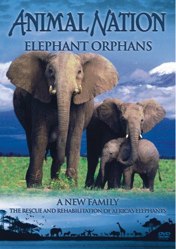 Animal Nation: Elephant Orphans