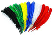 Colorations - Colorations - Veren 30cm Set van 24