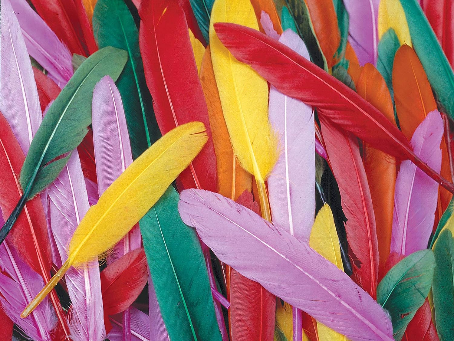 Feathers | Assorted coloured | 10 cm | 145 pieces
