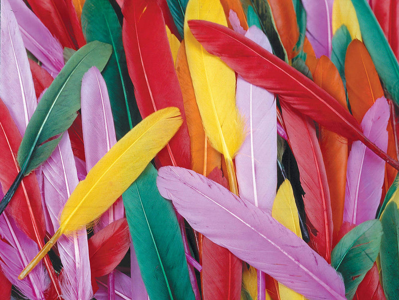 Feathers | Assorted coloured | 10 cm | 145 pieces