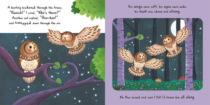Nature Stories: Little Owl-Discover an Amazing Story from the Natural World